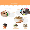 Load image into Gallery viewer, Cat Treats and Lickable Snacks for Pet Cats