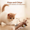 Load image into Gallery viewer, Interactive Cat Toys, Bird