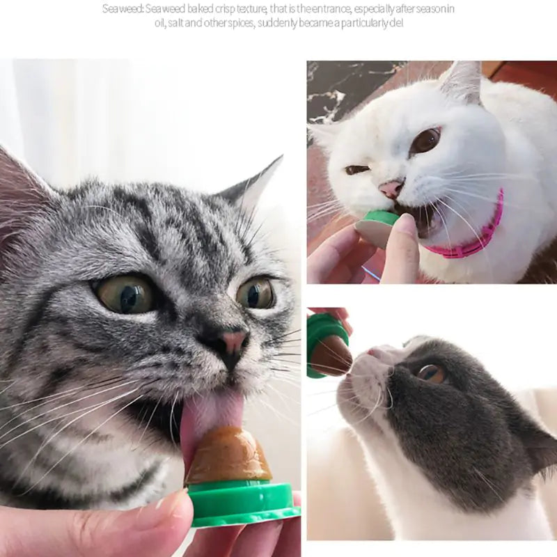 Cat Treats and Lickable Snacks for Pet Cats